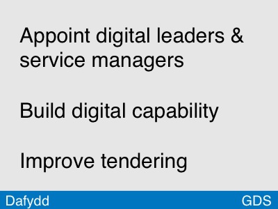 Appoint digital leaders and service managers; Build digital capability; Improve tendering