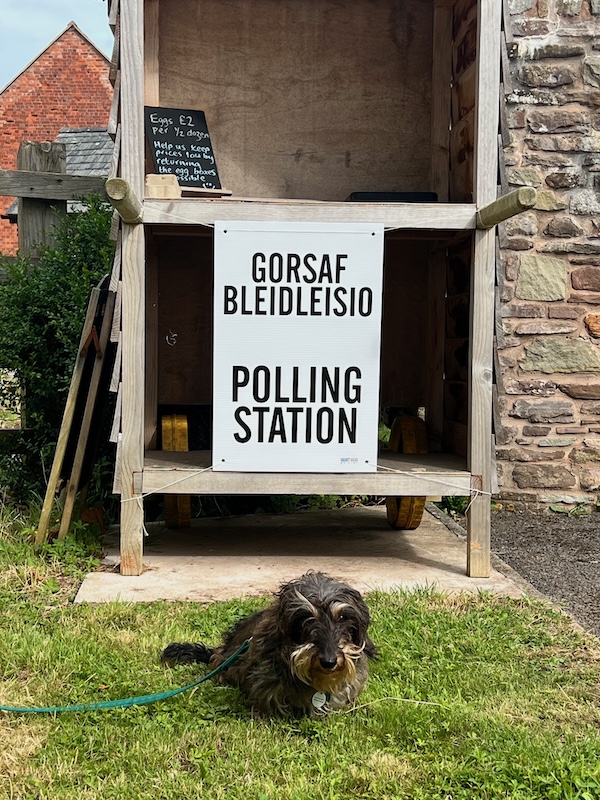 Dilys at the polling station